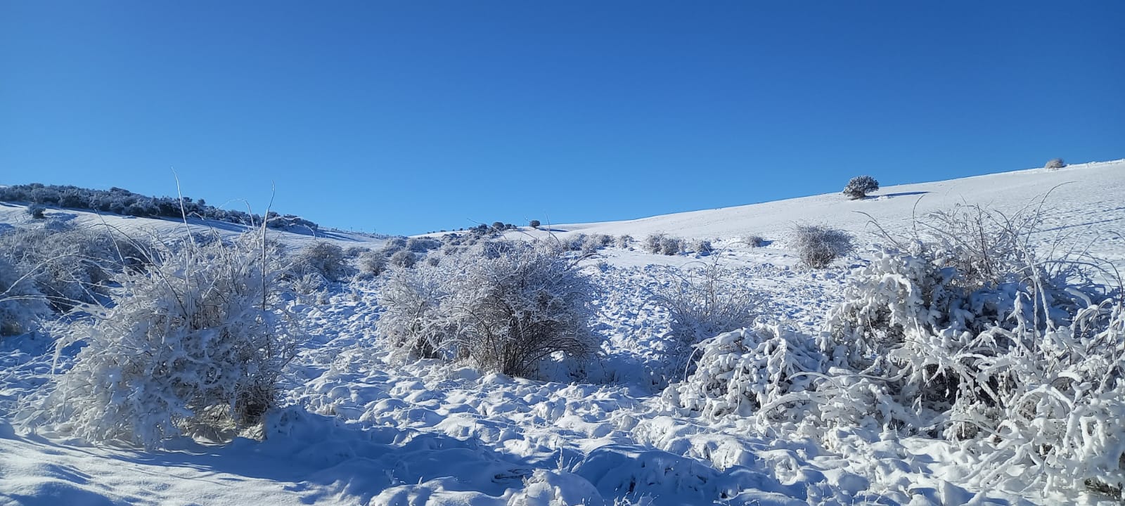 La Sierra