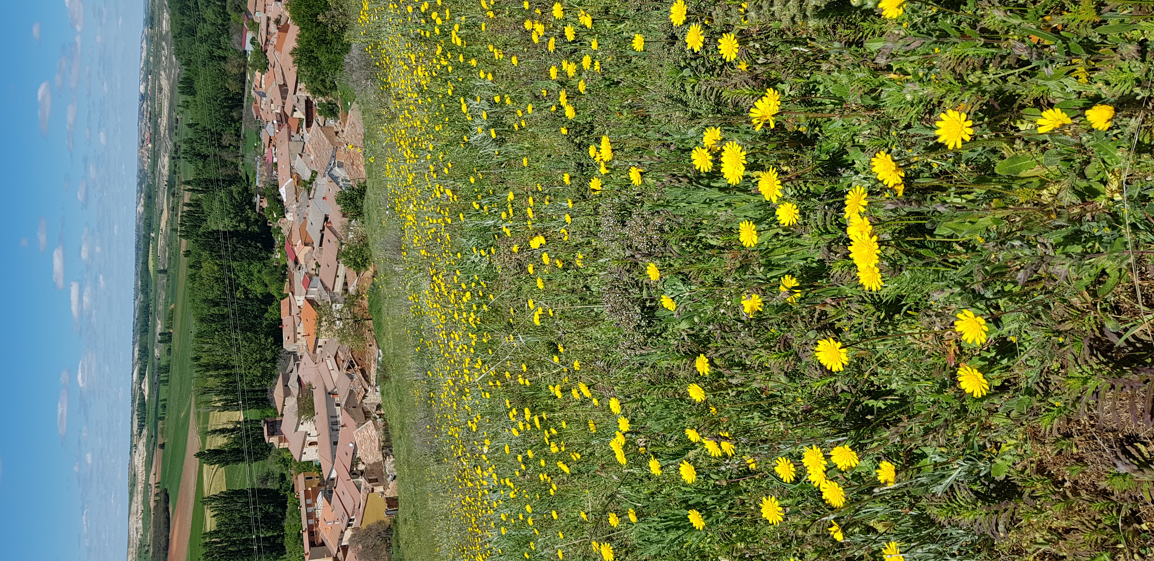 Fuentenebro en Primavera