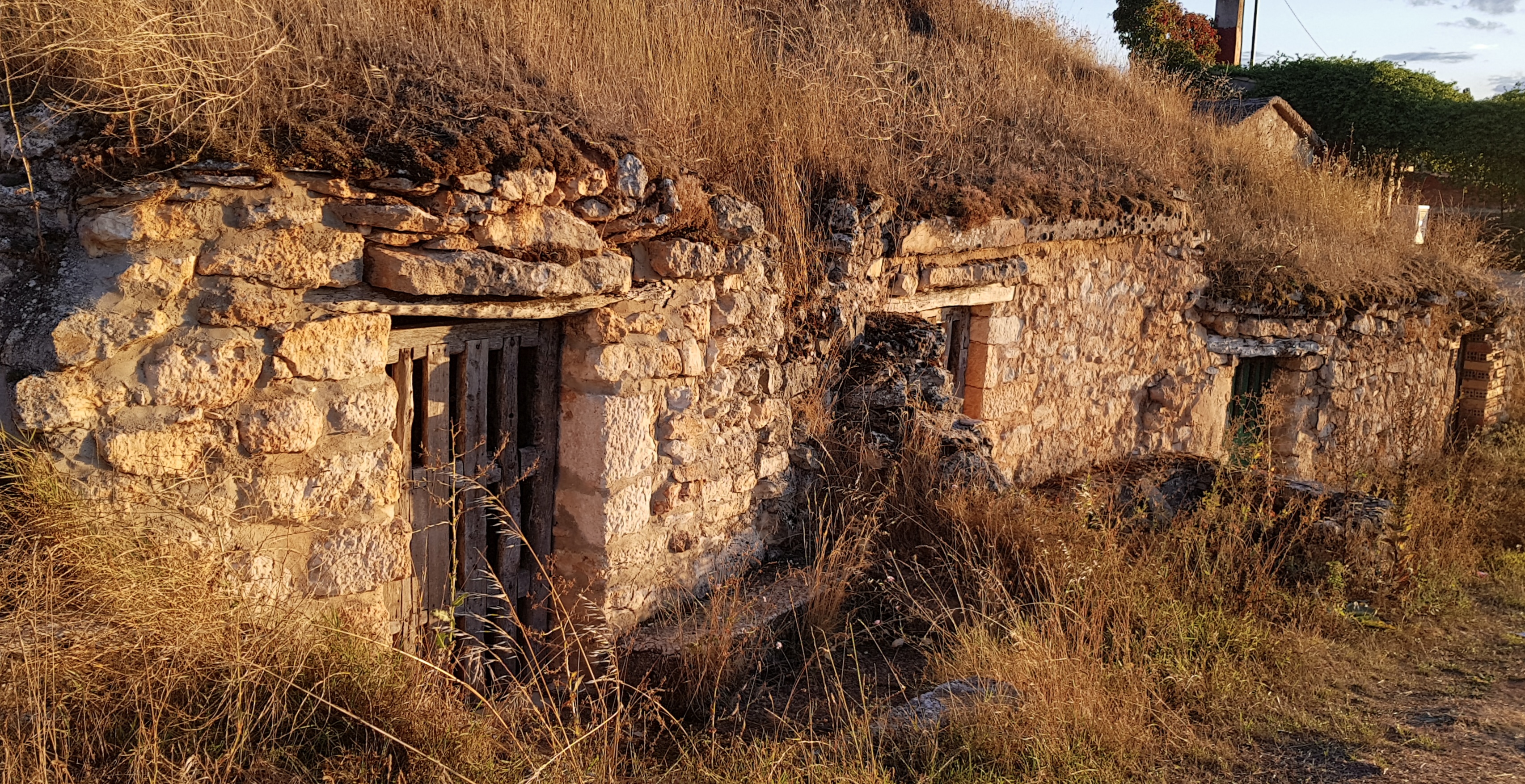 Proyecto de protección y recuperación de las bodegas de Fuentenebro